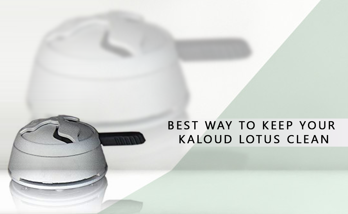 How to clean the Kaloud Lotus