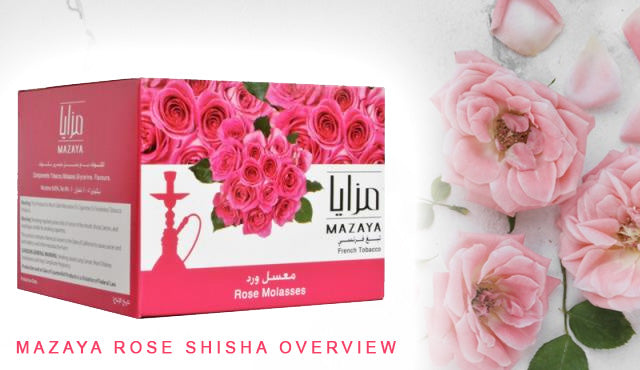 Mazaya Rose Shisha Overview