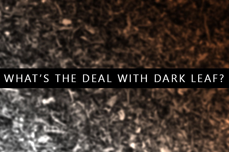 What’s the deal with dark leaf?
